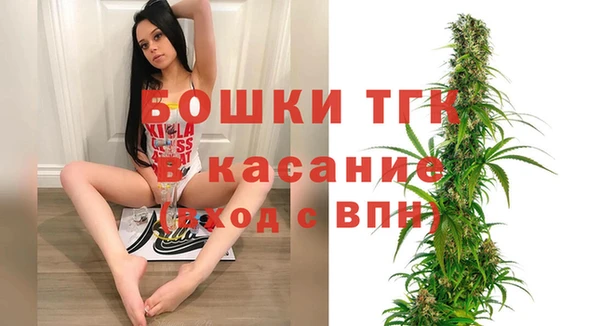 эйфоретик Краснослободск