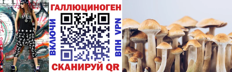 Псилоцибиновые грибы мухоморы  Купить закладки  Волжск 